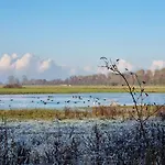 Petit Au Coeur De La Baie De Somme