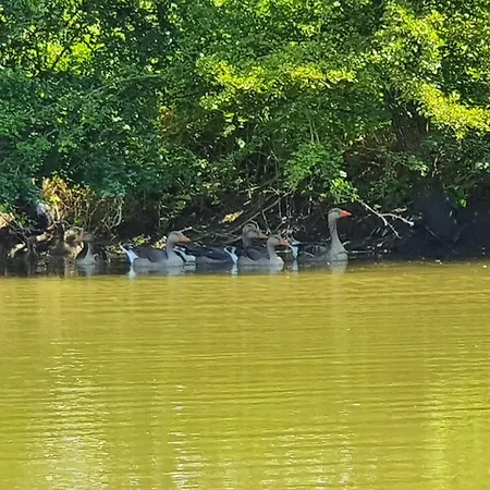 Σπίτι διακοπών Petit Au Coeur De La Baie De Somme